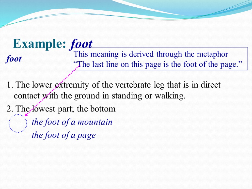 Example: foot foot 1. The lower extremity of the vertebrate leg that is in